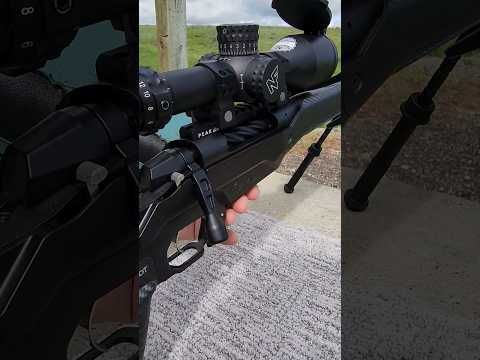 NEW Weatherby Model 307 Alpine MDT!