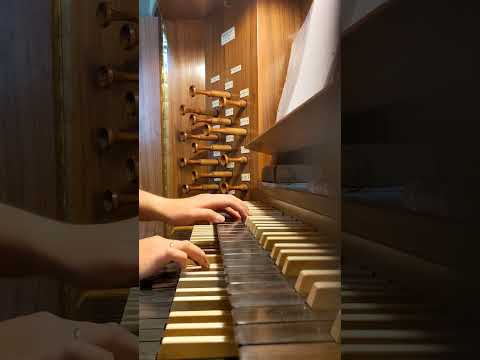 Ich lobe meinen Gott von ganzem Herzen EG 272 #shorts