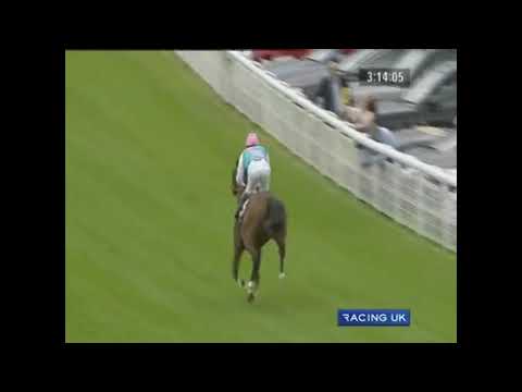 2011 Qipco Sussex Stakes   Frankel racing UK