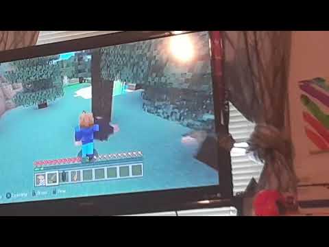 First minecraft video