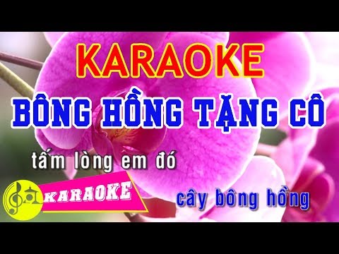 Bông Hồng Tặng Cô Karaoke || Beat Chuẩn - Karaoke Nhạc Thiếu Nhi