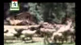Download lagu 1 Jab ham jawa hionga.3gp mp3
