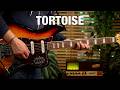 Tortoise: Jazzy Cinematic Progressive Post-Rock