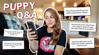 The Puppy Stage, Having Puppy Blues, & How to Make it Through 🐶🦴🧡 | vlogtober day 14