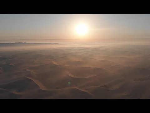 Alican Abacı - Phoenix Again