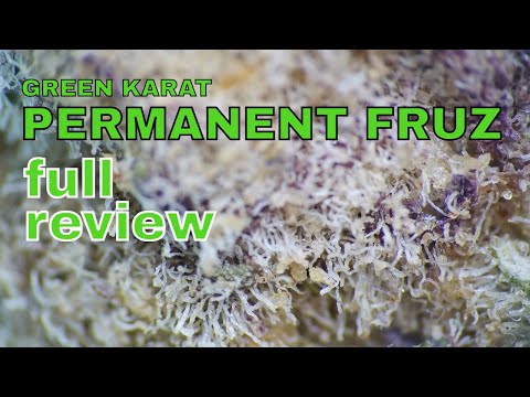PERMANENT FRUZ FULL REVIEW | Green Karat, Cantourage & Xeal | 20% | 8.50/g