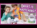 WHAT HAPPENS TO OUR HATCHIMAL? | We Are The Davises