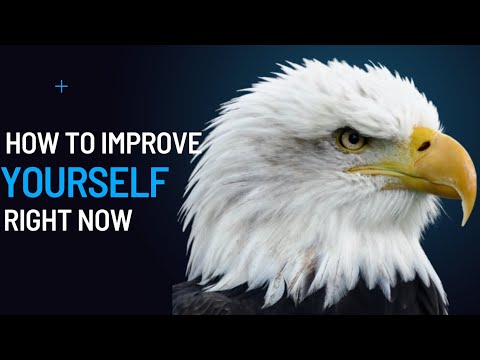 How to improve yourself Right now