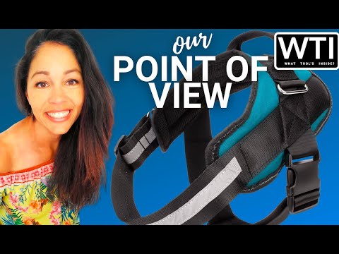 Bolux Service Dog Harness - WTI product video review