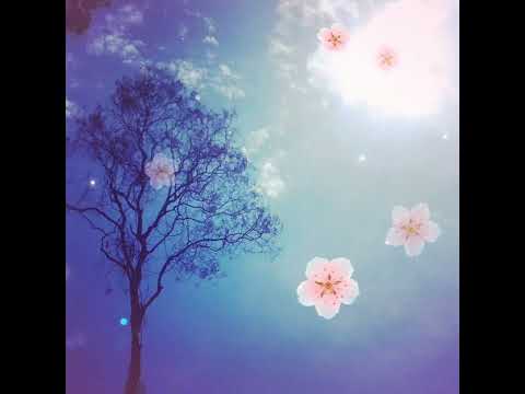 အချစ်ဆိုတာလျှို့ဝှက်ချက်တစ်ခုပါ | AChit Sotar Hlohwat Chat Takhu Bar - Ni Ni Khin Zaw