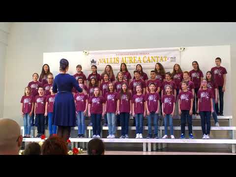 Mali zbor GŠ Franje Kuhača u Požegi 2018 - 1.dio