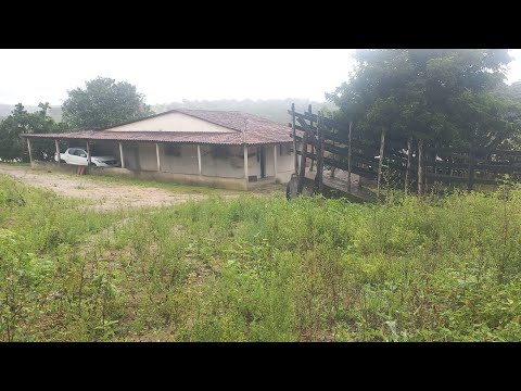 Chácara a venda em Brejão PE com muita água fruteiras,casa, curral, posso artesiano e barragem!