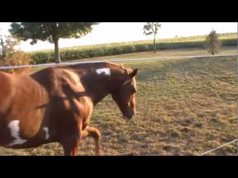 you be my star I'll be your sky