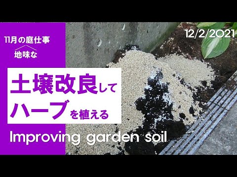 バルコニーやポーチの鉢でローズマリーを育てると、ラベンダーの隣に素晴らしい背景が生まれます。  庭園