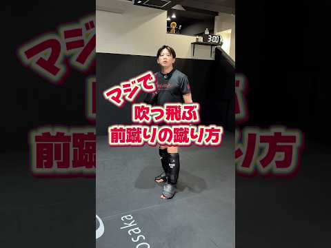 マジで吹っ飛ぶ前蹴りの蹴り方！#RIZIN#ライジン#総合格闘技#MMA#mmatechniques#キックボクシング#kickboxing#キックボクシングテクニック