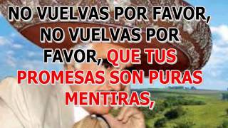 KARAOKE NO VUELVAS POR FAVOR VICENTE FERNANDEZ