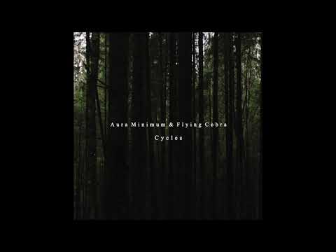 Aura Minimum - Dreamulator - Cycles LP - [SV​-​40] - 2020