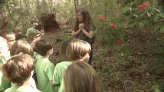 preview picture of video 'VHEW Ruffner Mountain field trip for Miss Sell's 1st grade class 2015'