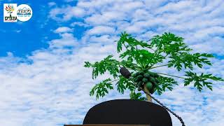 הרב יהודה יוספי - פרשת וירא 2025 - שידור חי (ארגון ענפים) - התמונה מוצגת ישירות מתוך אתר האינטרנט יוטיוב. זכויות היוצרים בתמונה שייכות ליוצרה. קישור קרדיט למקור התוכן נמצא בתוך דף הסרטון