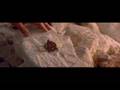 Kirk's Death