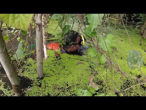 SE02EP116 Part 1 - Ang MADULAS na PALOS ng AMAZON RIVER de SAN PABLO