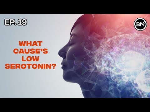 What Cause's a Serotonin Deficiency? - Ep. 19