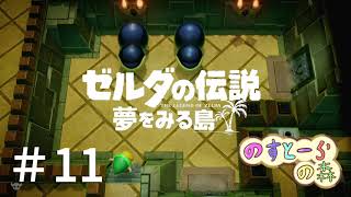 【2人実況】白昼にゼルダの伝説【夢をみる島】＃11