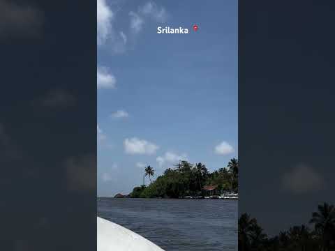 #travel #srilanka #ocean #galle #nature #beach #trending #boating #mirissa 😊🖤🤍🍀 #song #music