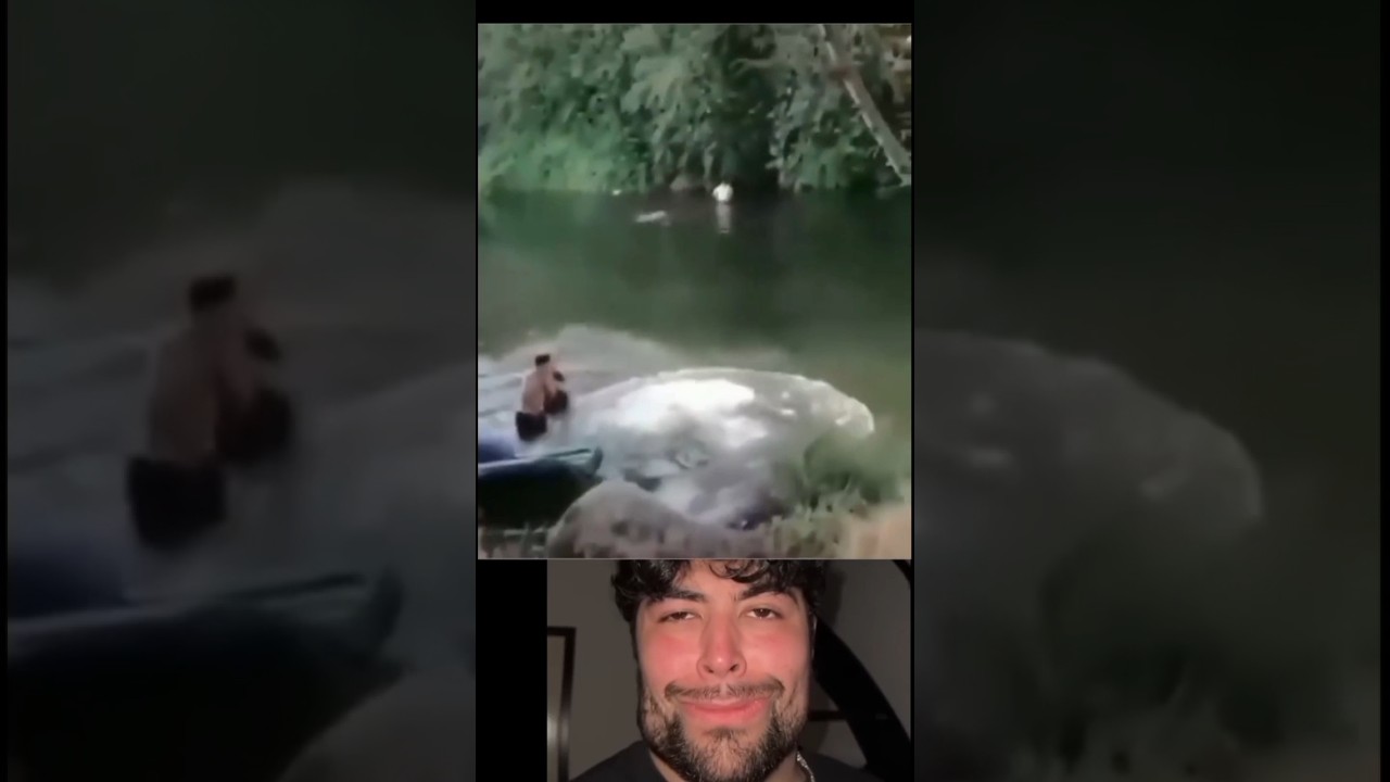 Pin on Funny animals😂