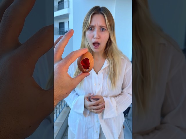 Vídeo relacionado con Magic Egg Trick, Egg To Bird Trick, Magic Illusions, Prank Toy, Stage Magic Tools, Magic Show Egg, Magic Joke Toy, Egg Magic Trick, Egg Magic Illusion Prank Toy For Beginners and Adults
