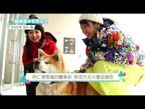 【商務和旅遊部門】觀賞樹冰與秋田犬一同玩樂 90秒版（繁体字字幕）