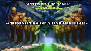 Benefactor Decease - ANATOMY OF AN ANGEL (==D-E-M-O SONGS == MEDLEY==)