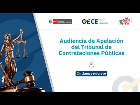 Audiencia de Apelación del Tribunal de Contrataciones del Estado S6. EXP. 8311 - 2025.TCP