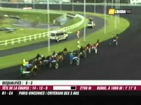 Critérium des 3 Ans - Timoko