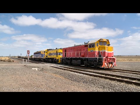 9166 Southern Shorthaul Railroad (SSR) Broad Gauge Rail Train (17/1/2025) - PoathTV Railways