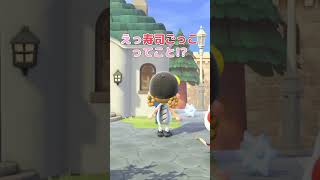 定期的に住民から送られてくる謎プレゼント【あつ森】