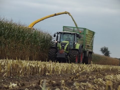 Mais hakselen! Maisoogst Fokkert Lemele  New Holland, Claas, Joskin  ernte, harvest