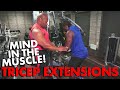 Mind in the Muscle: TRICEP EXTENSIONS