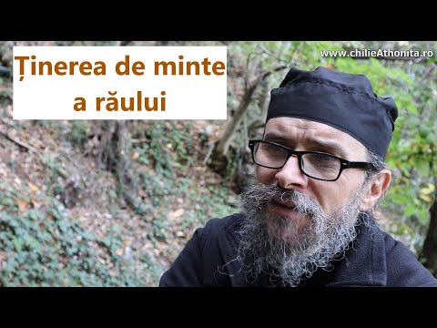 Ținerea de minte a răului - părintele Teologos