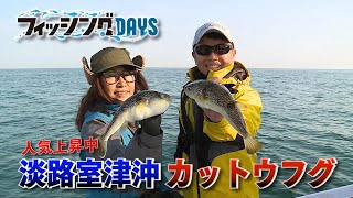 【フィッシングDAYS】#97 人気上昇中　淡路室津沖カットウフグ