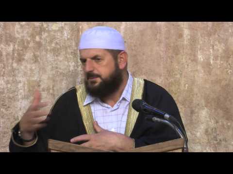 17 - Kapitulli i pijeve - Dr. Shefqet Krasniqi