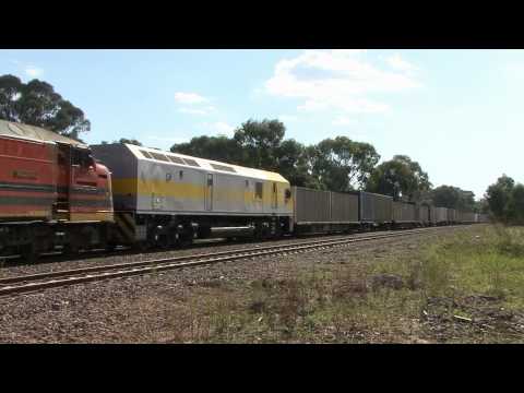 Standard Gauge Trains Victoria - CLF3, CLF9 & RL310 power near Glenrowan - 16/01/2011