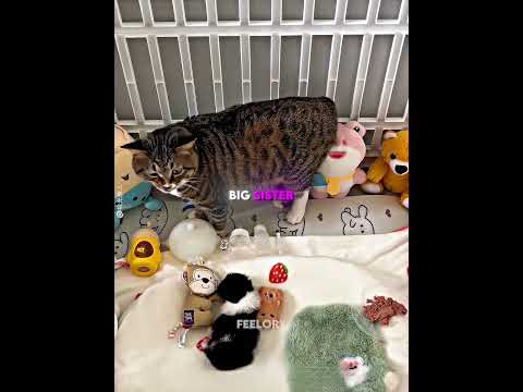 Even Her Mother Left Her 🥺❤️ #shorts