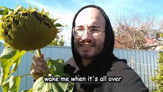 Download lagu Madura Green - Egg Salad mp3