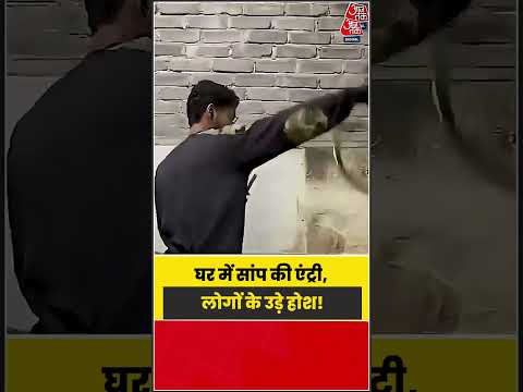 घर के अंदर सांप देखकर घबराए लोग, वीडियो वायरल! | #SnakeRescue #ViralShorts #Wildlife