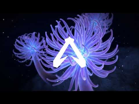 Frainbreeze & Angel Falls - Wait For You