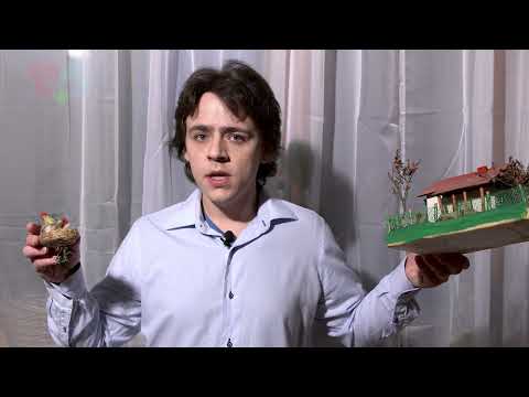 Trivijator - Urbanizam