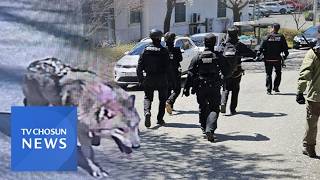 60시간째 행방 묘연 '늑구'…모처럼 맑은 날씨에 드론 수색 '기대' [뉴스현장]