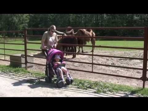 Zoo Dvorec u Borovan