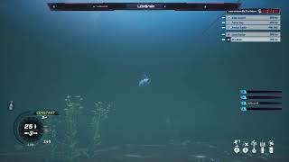 Bassmaster fishing 2022